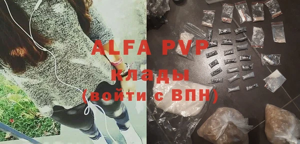 прущие грибы Арсеньев