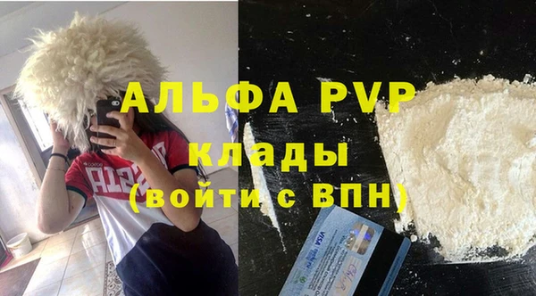 прущие грибы Арсеньев