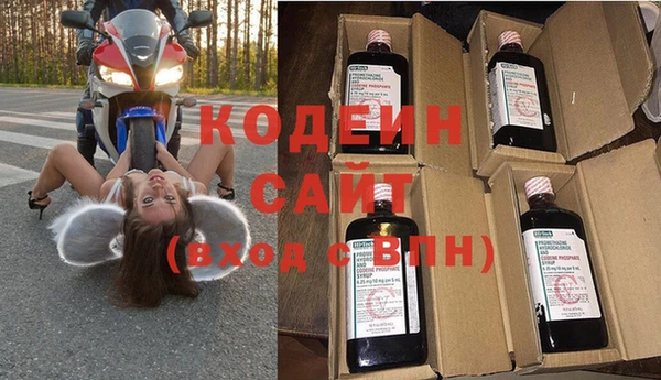 прущие грибы Арсеньев