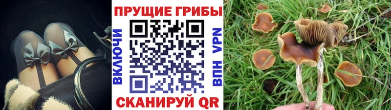 omg ТОР  Рославль  Галлюциногенные грибы Magic Shrooms 